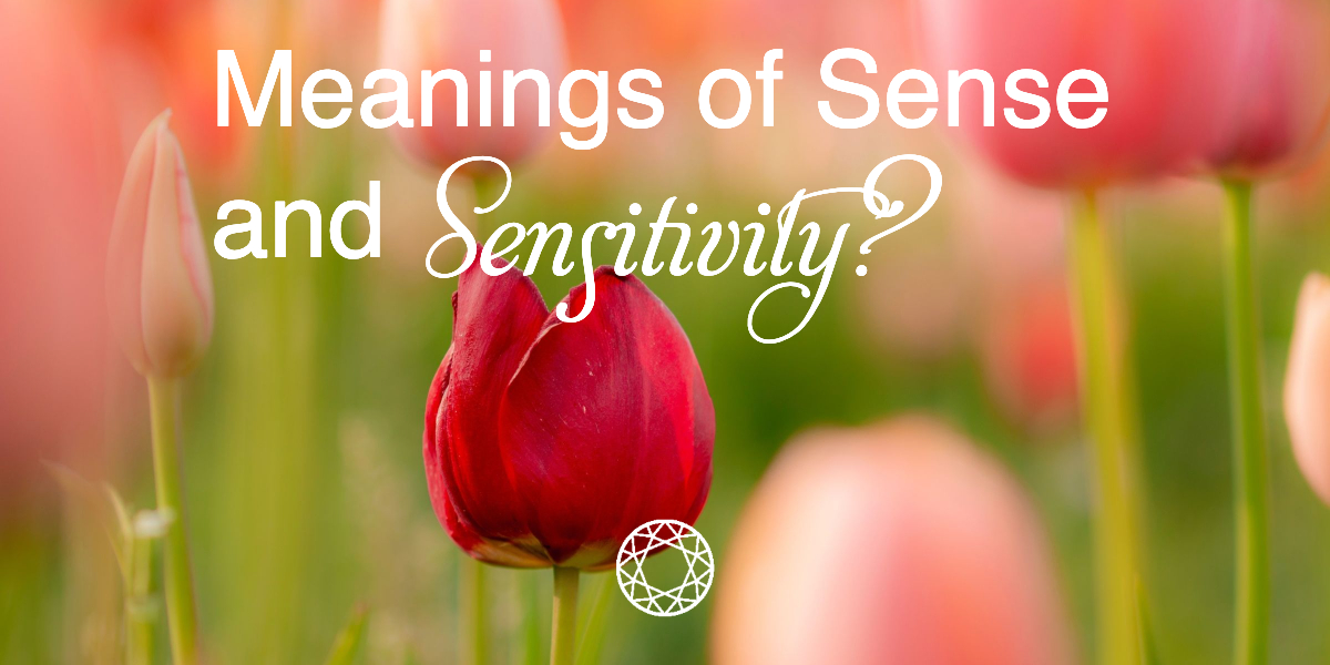 Meanings of Sense and Sensitivity